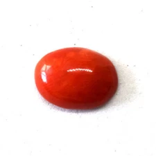 Beautiful Natural Untreated Undyed Dark Red Coral Loose Gemstone