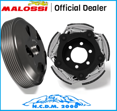 Malossi 5218743 Clutch + Bell Maxi Fly Ø 160 Gilera Nexus 500 ie