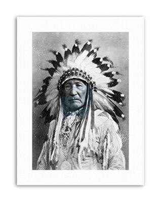 NATIVE AMERICAN INDIAN MOUNTAIN CHIEF NEW Poster Picture Vintage Canvas art