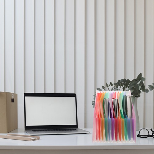 Large Capacity Organ Bag Document Organizer Cute Accordion File Office