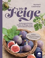 Die Feige, Norbert Liedmeier