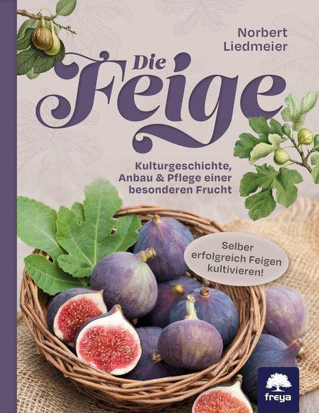 Die Feige, Norbert Liedmeier-image