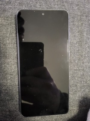 Samsung Galaxy S21 FE 5G SM-G990B/DS - 128GB - Graphite (Ohne Simlock) 