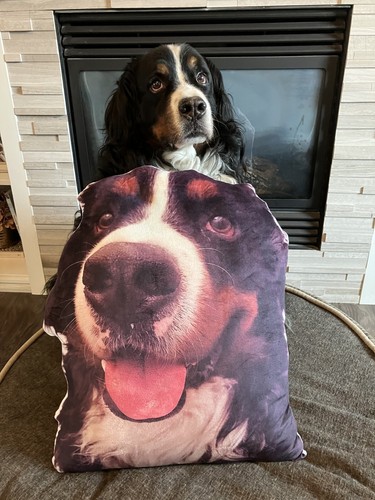 Custom Dog Photo Shaped Throw Pillow Plush Pet Cat Personalized Picture Memorial - Picture 3 of 9