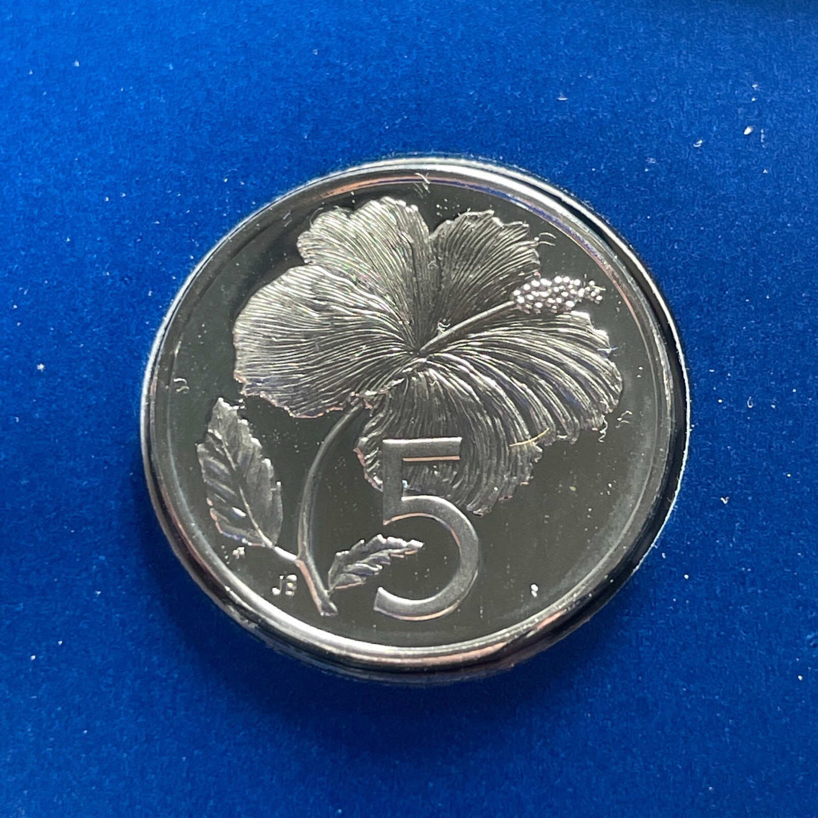 Picture 19 of 22