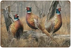 Three Ringneck Pheasants in Autumnal Woods Tin Metal Signs Home Décor Vintage Ri