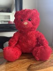 Build A Bear Roses Bear With Shirt — photo 2