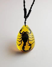 Amber Tear Drop - Small Black Scorpion Goth punk occult pagan alternative