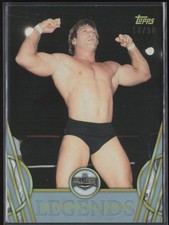 Mr. Wonderful Paul Orndorff 2018 Topps Legends of WWE Silver #37 /50