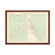 Old Map of Timaru 1890 - Vintage New Zealand Art Wall Decor