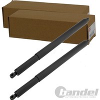 2X NTY Gasfedern KOFFERRAUM-LIFTER Passend FüR BMW X6 Links+Rechts | AE-BM-111