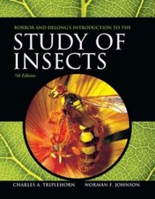 Borror and DeLong's Introduction to the Study of Insects by Norman Johnson: Used