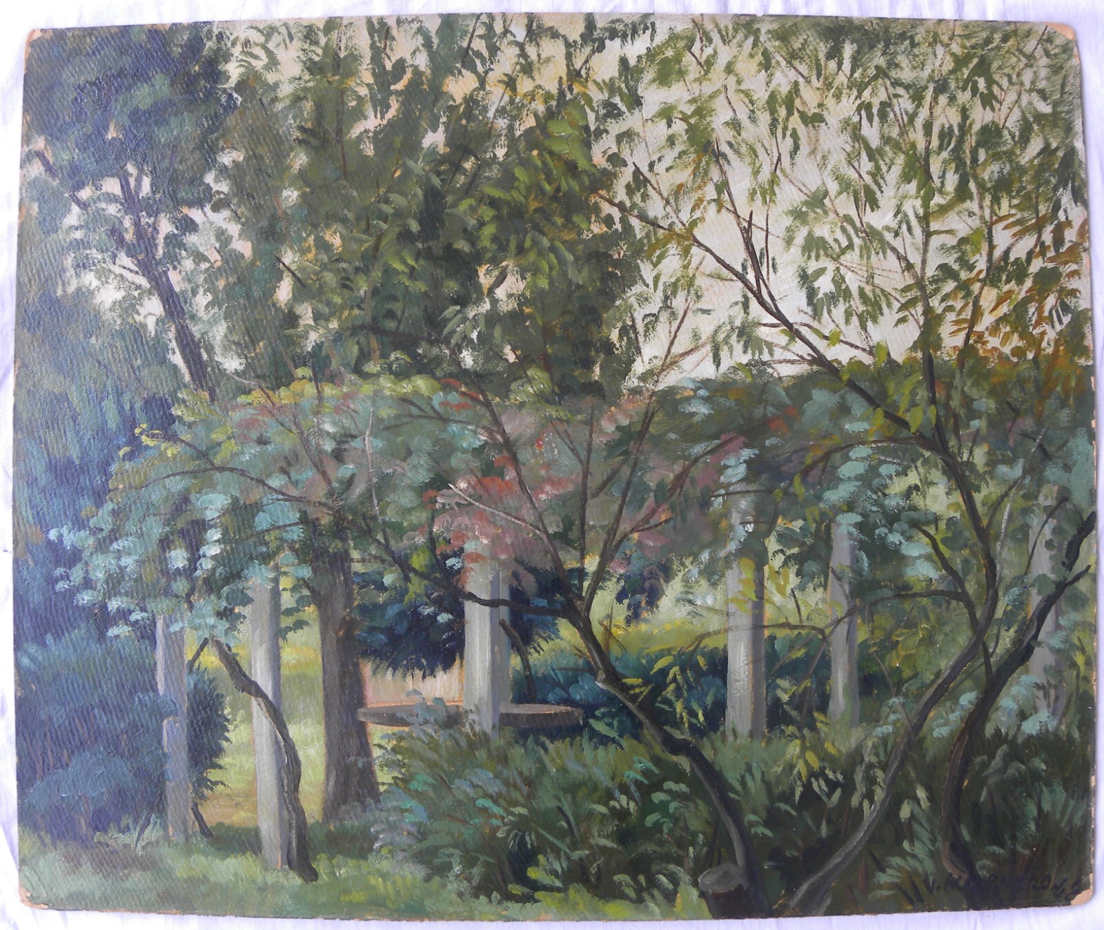 Foto 9 di 17