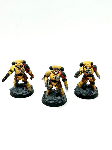 Reivers Primaris easy to build Imperial fists space marines Warhammer Painted