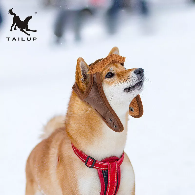 Pet Dog Pilot Hat Puppy Cute Aviator Cap Windproof Spring Autumn Style Costume - Image 3 of 4