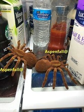 2 Brown Spiders/Tarantulas Fake/Prank/Halloween  Large 3.75 x 5.5-in