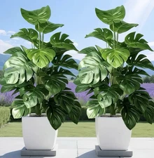 2 Large Artificial Monstera Tree Realistic And Wide Leaves Home/Office No Basin!