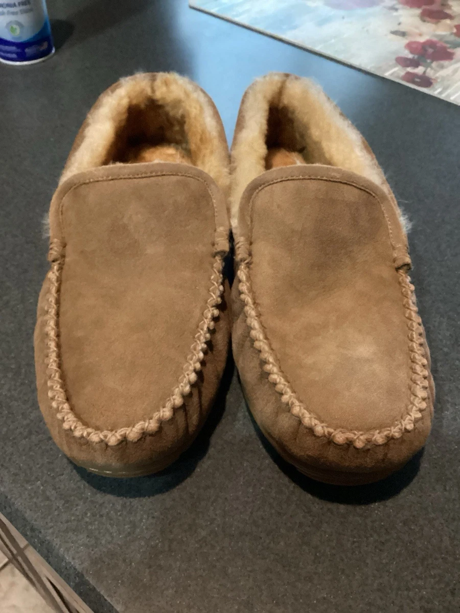 Wicked Good Slippers In Men