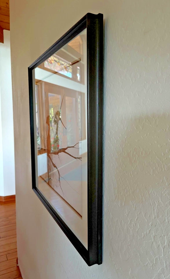 P. Buckley Moss "Loudmouths" 1984 Enmarcado Firmado 265/1000 Impresión Rara. Foto 3 de 3