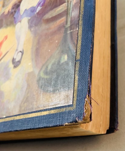 Alice In Wonderland-Lewis Carroll-Edwin Prittie-RARE 1925 Illustrated Edition!! - Picture 19 of 24