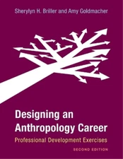 Sherylyn H. Briller Amy Gold Designing an Anthropology  (Paperback) (UK IMPORT)