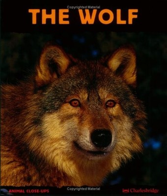 The Wolf: Night Howler, Christian Havard