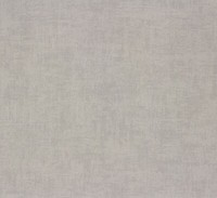 Vlies Tapete Uni Einfarbig Rasch Grau 489859 (2,91€/1Qm)