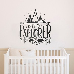 explorer nursery decor