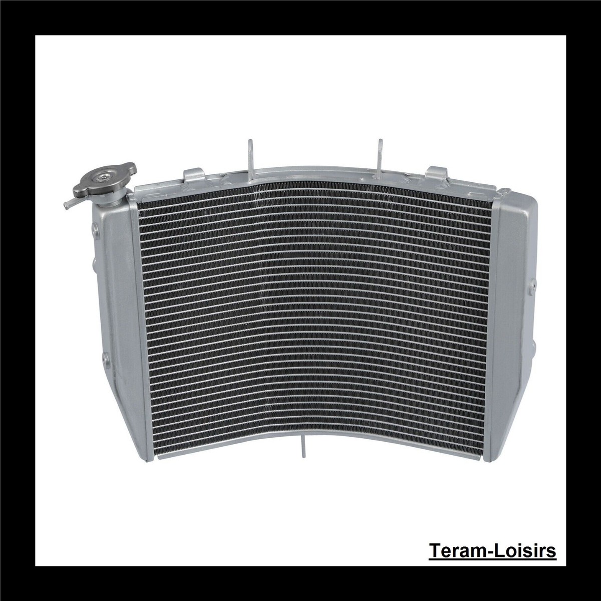 TZ250 Radiator 59W？ Radiator For KAWASAKI NINJA ZX6R From 2009 To 2022 | eBay
