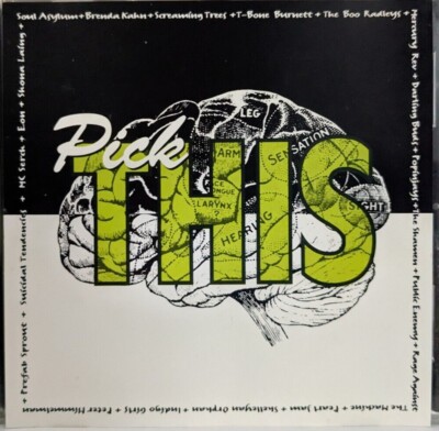 90s Alt Punk CDs U Pick Pavement Pixies Placebo Portishead Prodigy Pulp Quasi