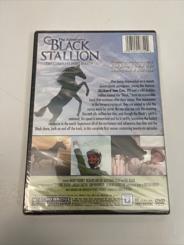 The Adventures of the Black Stallion Complete First Season DVD 2008 - Picture 4 of 7