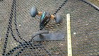 Bild 2 von 3