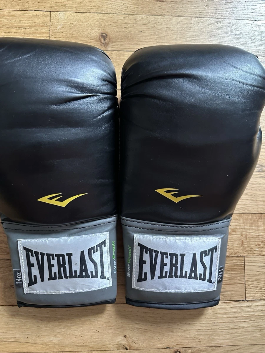 Everlast 14 oz. Weight Boxing Gloves for sale | eBay