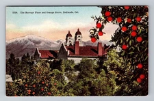 California CA Redlands The Burrage Place And Orange Grove Vintage Postcard
