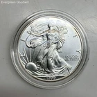 1999 US American Silver Eagle Dollar Coin in Case