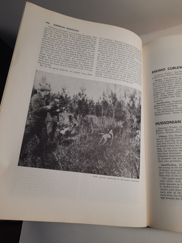 The New Hunters Encyclopedia editor Raymond R. Camp, 1966, 3rd Edition - Imagen 4 de 14