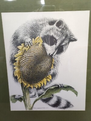 ROGER Arno INTRICATE Raccoon BITING a SUNFLOWER colored SKETCH 20'' x 16'' Framed!