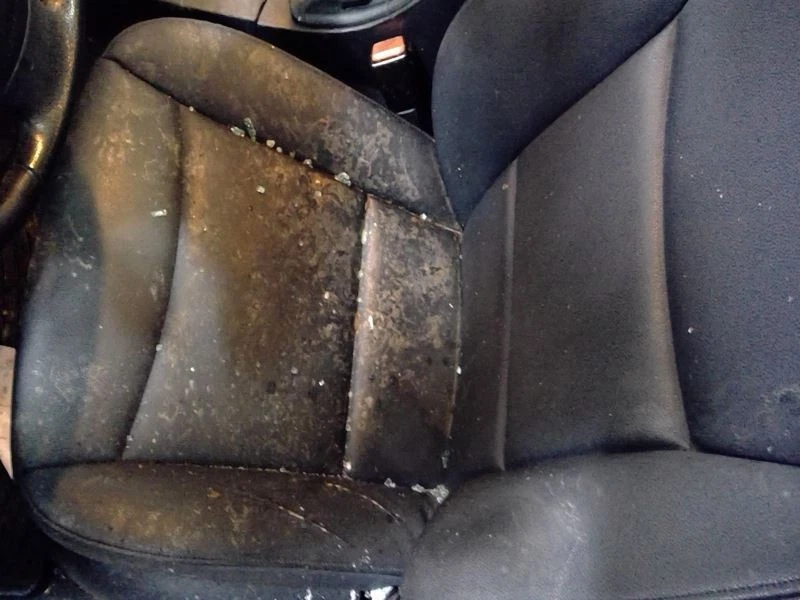 (LOCAL PICKUP ONLY) Passenger Right Front Door Glass Station Wgn Fits 07-12 BMW Foto 4 de 4