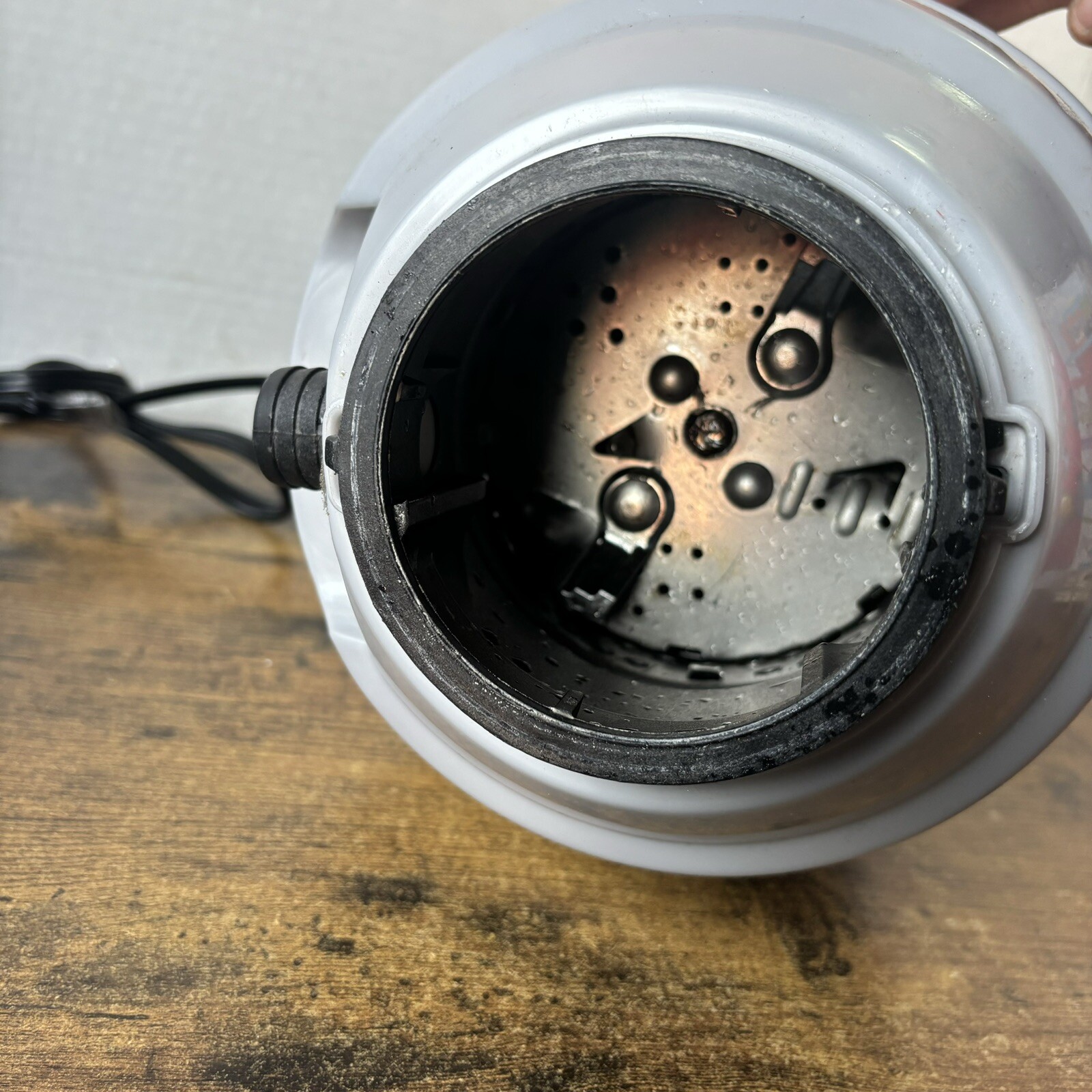 Picture 20 of 20