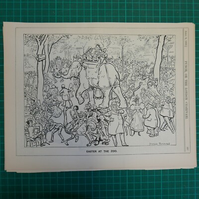 7x10'' Stanze Cartoon 1893 OSTERN IM ZOO Harry Furniss