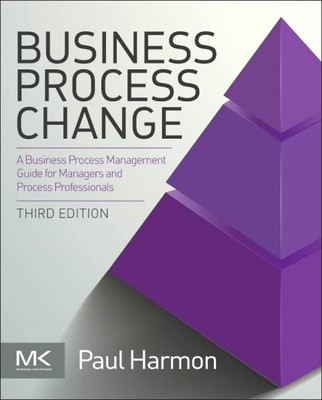 Business Process Change : A Business Process Management Guide for Managers an...