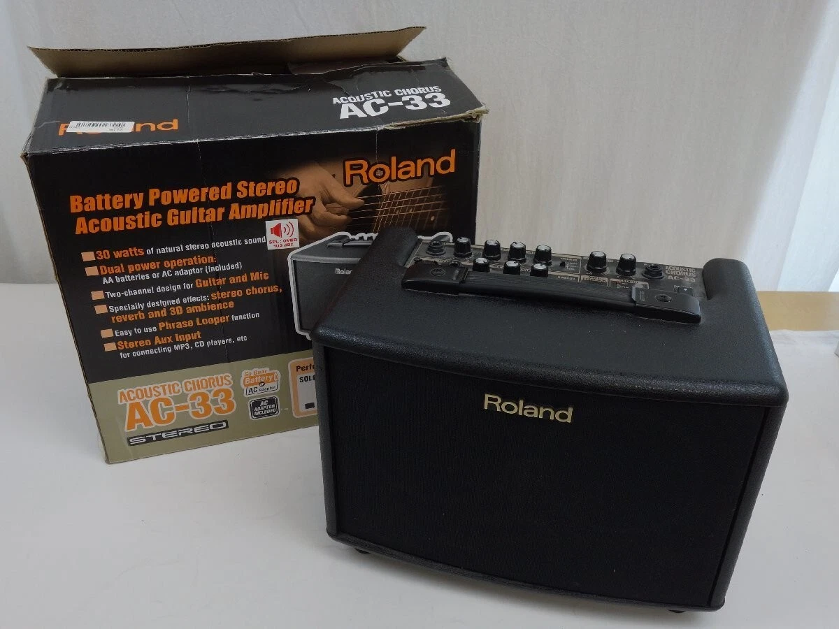Roland Acoustic Chorus Acoustic Guitar Electric Acoustic Amplifier