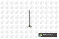 BGA V141081 Auslassventil FüR CitroËN Peugeot