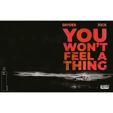 You Wont Feel A Thing #1 Dstlry