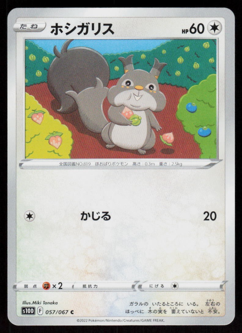 Skwovet 057/067 Common Time Gazer Pokemon Japanese Near Mint