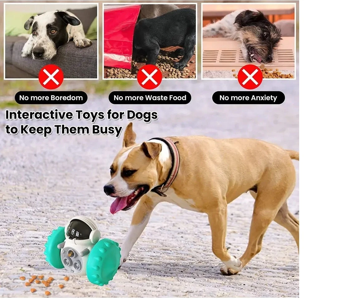 Robot ball dog toy cheap
