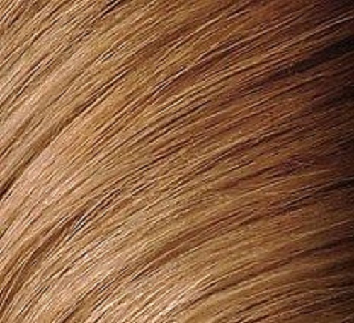 Kit Extensions à Clips Cheveux 100% Naturels Remy - 42 à 60cm - Tête Complète - Neuf