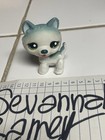 Hasbro Littlest Pet Shop LPS Husky Figure #1563 2006 — photo 1