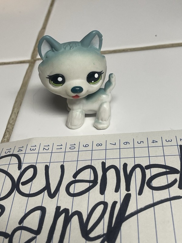 Hasbro Littlest Pet Shop LPS Husky Figure #1563 2006