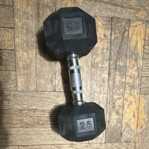 25 lb Hex Rubber Coated Dumbbell w/ Chrome Handle, Single, Black/Silver